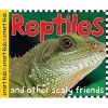 Reptiles and Amphibians (Hardcover) - Simon Mugford Photo