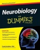 Neurobiology For Dummies (Paperback) - Frank Amthor Photo