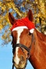 Santa Horse Ready for Christmas - Blank 150 Page Lined Journal for Your Thoughts, Ideas, and Inspiration (Paperback) - Unique Journal Photo