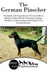 The German Pinscher - A Complete and Comprehensive Owners Guide To: Buying, Owning, Health, Grooming, Training, Obedience, Understanding and Caring for Your German Pinscher (Paperback) - Dog Care Professionals Photo