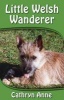 Little Welsh Wanderer (Paperback) - Cathryn Anne Photo