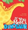 If You Meet a Dinosaur (Hardcover) - Paul Bright Photo