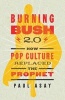 Burning Bush 2.0 - How Pop Culture Replaced the Prophet (Paperback) - Paul Asay Photo