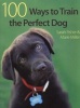 100 Ways to Train the Perfect Dog (Paperback) - Sarah Fisher Photo