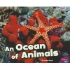 An Ocean of Animals (Paperback) - Janine Scott Photo