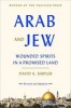 Arab and Jew - Wounded Spirits in a Promised Land (Paperback) - David K Shipler Photo