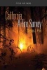 California - A Fire Survey (Paperback) - Stephen J Pyne Photo