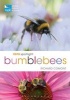 RSPB Spotlight Bumblebees (Paperback) - Richard Comont Photo