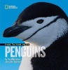 Face to Face with Penguins (Hardcover) - Yva Momatuik Photo