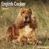 English Cocker Spaniel Calendar 2017 (Paperback) - Avonside Publishing Ltd Photo