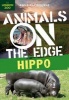 Hippo (Paperback) - Anna Claybourne Photo