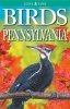 Birds of Pennsylvania (Paperback, New) - Franklin Haas Photo