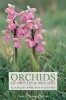 Orchids of Britain and Ireland - A Field and Site Guide (Paperback, 2nd Revised edition) - Anne Harrap Photo