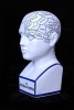 Phrenology Head Model Journal - 150 Page Lined Notebook/Diary (Paperback) - Cool Image Photo