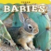 Texas Babies! (Hardcover) - Steph Lehmann Photo