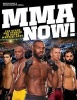 MMA Now! - The Stars and Stories of Mixed Martial Arts (Paperback) - Brian Sobie Photo