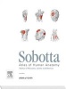 Tables of Muscles, Joints and Nerves - Tables to Sobotta Atlas (English, Latin, Paperback, 15th Revised edition) - Friedrich Paulsen Photo