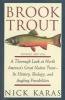 Brook Trout - A Thorough Look at North America's Great Native Trout- its History, Biology, and Angling Possibilities (Paperback) - Nick Karas Photo