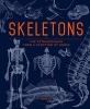 Skeletons - The Extraordinary Form and Function of Bones (Hardcover) - Andrew Kirk Photo