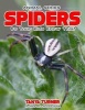 Spiders Do Your Kids Know This? - A Children's Picture Book (Paperback) - Tanya Turner Photo