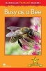 Macmillan Factual Readers Level 1+: Busy as a Bee (Paperback) - Louise P Carroll Photo