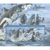 A Pod of Orcas (Paperback) - Sheryl McFarlane Photo