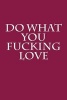 Do What You Fucking Love - Blank Lined Journal - 6x9 - Funny Gag Gift (Paperback) - Active Creative Journals Photo