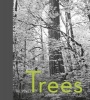 The Power of Trees (Hardcover) - Gretchen Daily Photo