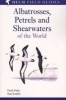 Albatrosses, Petrels And Shearwaters Of The World (Paperback) - Derek Onley Photo