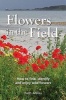 Flowers in the Field - How to Find, Identify and Enjoy Wild Flowers (Hardcover) - Faith Anstey Photo