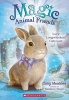 Magic Animal Friends #1 Lucy Longwiskers (Paperback) - Daisy Meadows Photo