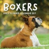 Boxers - Daily Planner Calendar 2017 (Paperback) - Journals R Us Photo