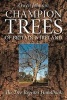 Champion Trees of Britain and Ireland: The Tree Register Handbook (Paperback) - Owen Johnson Photo