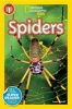 Spiders (Hardcover) - Laura Marsh Photo