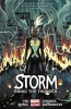 Storm Volume 2: Bring the Thunder (Paperback) - Greg Pak Photo