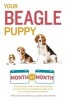 Your Beagle Puppy Month by Month (Paperback) - Terry Albert Photo