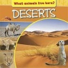 Deserts (Hardcover, Illustrated edition) -  Photo