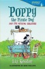 Poppy the Pirate Dog and the Missing Treasure (Paperback) - Liz Kessler Photo