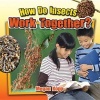 How Do Insects Work Together? (Hardcover) - Megan Kopp Photo