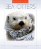 Sea Otters (Hardcover) - Patricia Hutchison Photo