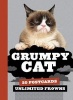  Postcard Book (Postcard book or pack) - Grumpy Cat Photo