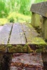 A Moss Covered Park Bench - Blank 150 Page Lined Journal for Your Thoughts, Ideas, and Inspiration (Paperback) - Unique Journal Photo