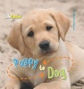 Life Cycles: Puppy to Dog (Paperback) - Camilla De la B edoy ere Photo