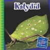 Katydid (Hardcover) - Michael Shoulders Photo