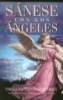 Sanese Con los Angeles - Como Pueden los Angeles Ayudarlo en Todas las Areas de su Vida (English, Spanish, Paperback) - Doreen Virtue Photo