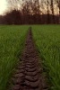 A Bike Tire Track Through the Park - Blank 150 Page Lined Journal for Your Thoughts, Ideas, and Inspiration (Paperback) - Unique Journal Photo