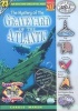 The Mystery of the Graveyard of the Atlantic (Paperback) - Carole Marsh Photo