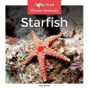 Starfish (Hardcover) - Leo Statts Photo