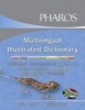 Multilingual Illustrated Dictionary CD-Rom (PC, CD-ROM) - Nthuseng Tsoeu Photo