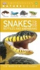 Snakes and Other Reptiles and Amphibians (Paperback) - Dk Photo